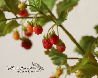 Raspberry - artificial berries out of cold porcelain