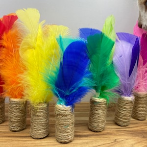 May include: A set of ten colorful feather cat toys with a natural jute base. The feathers are arranged in a rainbow pattern, with red, orange, yellow, green, blue, purple, and pink feathers. The toys are perfect for stimulating a cat's natural hunting instincts.