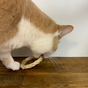 May include: A tan and white cat interacting with a woven rope toy. The cat is focused on the toy, which is a circular shape. The background is a white wall and a wooden floor.