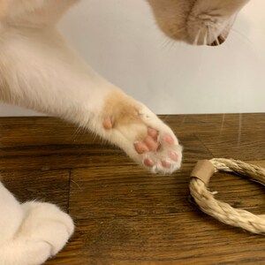 Puede incluir: Primer plano de una pata de gato con almohadillas rosas y un juguete de cuerda trenzada. El gato tiene pelaje blanco y marr&oacute;n. El juguete est&aacute; sobre una superficie de madera.