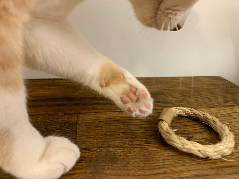 Cat Chew Toy Natural Cat Toy Cat Ring Toy Toys for Cats Etsy