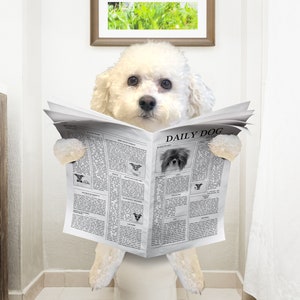 Your Dog On the Toilet Funny Picture