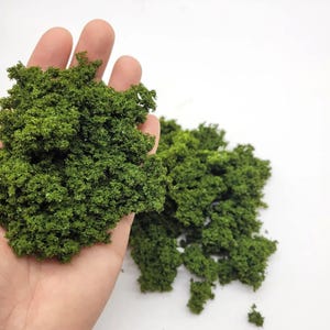 May include: Close-up of green model foliage, with a handful held in a hand. The foliage is a vibrant green color and has a textured, bushy appearance. Additional foliage is visible in the background, all against a white background.