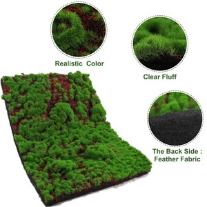 Puede incluir: Un panel de pared de musgo artificial verde y rojo con una textura realista. La parte posterior del panel está hecha de una tela negra. El panel es perfecto para agregar un toque de naturaleza a cualquier espacio.