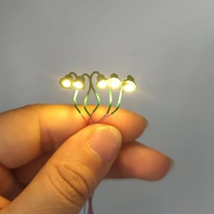 May include: Miniature fairy lights with five small, glowing, warm white LED lights. The lights are attached to thin, green wire stems, and held in a hand. The lights are ideal for crafting, model making, or adding a touch of whimsy to any project.