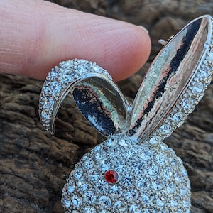 May include: A silver rabbit brooch with a red rhinestone eye and a crystal-encrusted design.