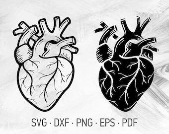 Download Human Heart Svg Etsy