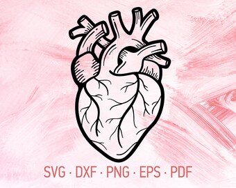 Human Heart Svg Etsy