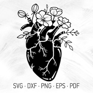 Anatomisch hart SVG Cricut Cut-bestanden, echt hart & wilde bloemen, menselijk hart bloemen beeld, hart Warrior Aware [svg dxf png eps pdf]
