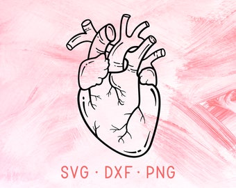 Anatomical Heart SVG DXF PNG, Heart Svg Cut File, Nursing Svg, Love Svg Files For Cricut Silhouette, Anatomic Heart Shirt Design, Nurse Svg