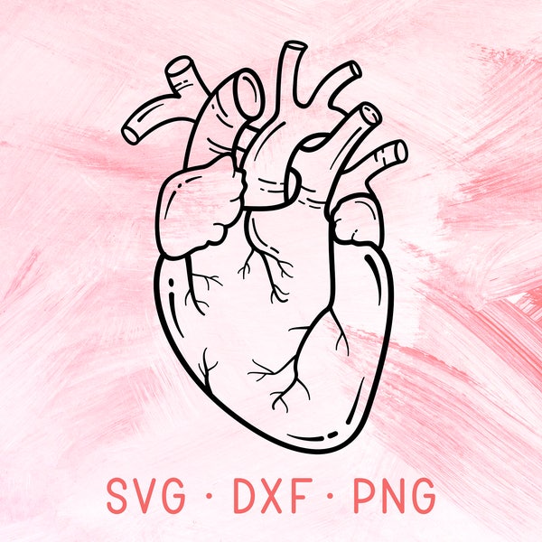 Anatomical Heart SVG DXF PNG, Heart Svg Cut File, Nursing Svg, Love Svg Files For Cricut Silhouette, Anatomic Heart Shirt Design, Nurse Svg