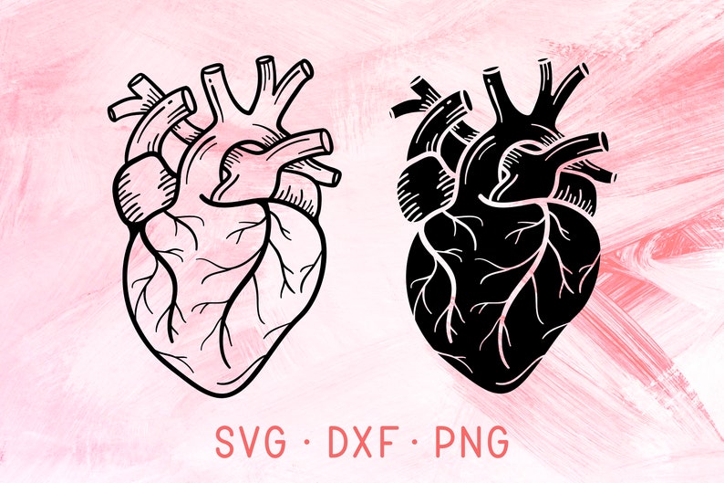 Download Anatomical Heart SVG Bundle File For Cricut Silhouette ...