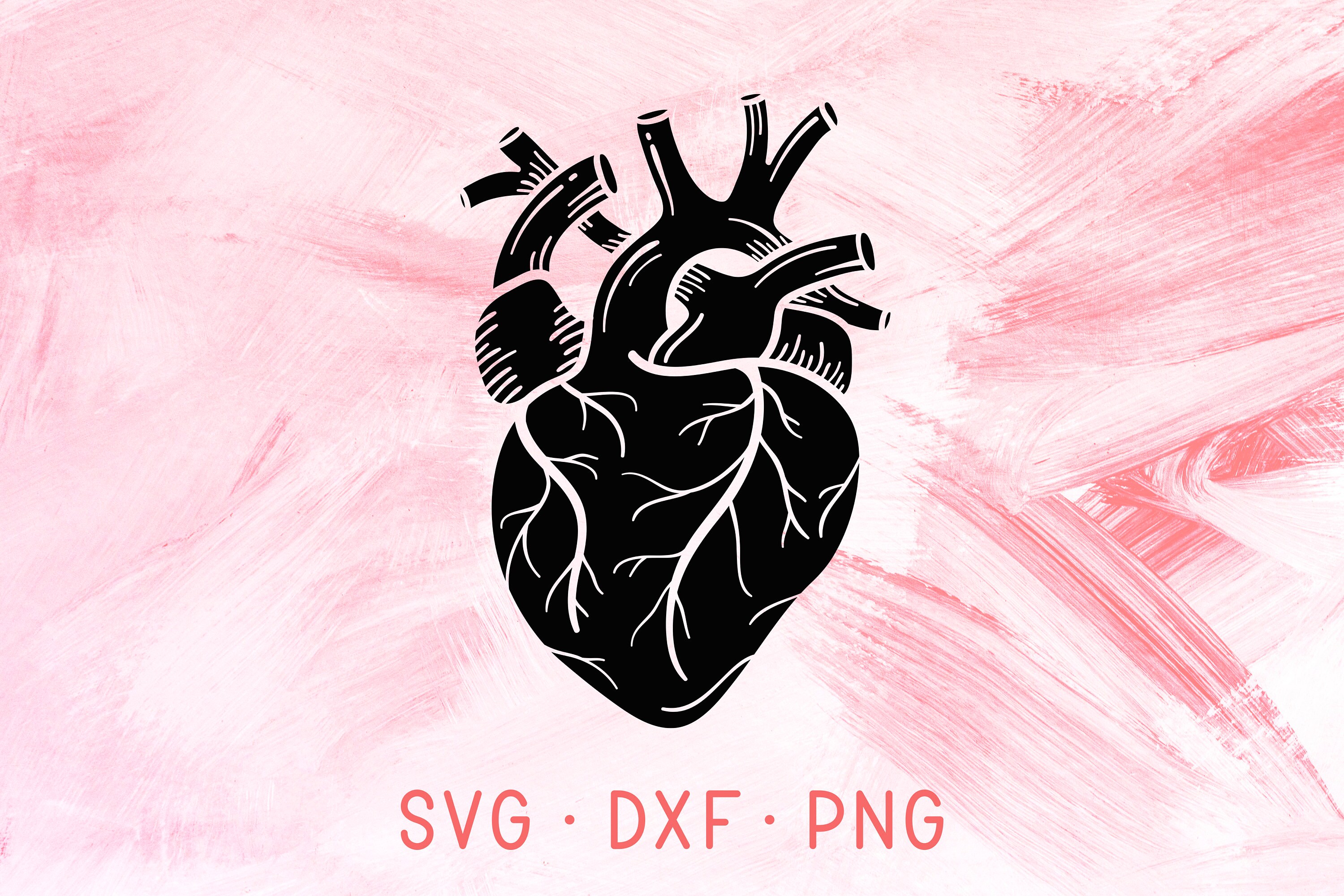 Download Anatomical Heart SVG DXF PNG Heart Svg Love Svg Medical ...