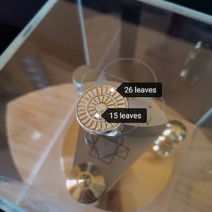 Op de afbeelding: Een zilverkleurige metalen ring met een cirkelvormig ontwerp met een centrale cirkel omgeven door concentrische ringen van kleinere cirkels. De ring heeft 26 bladeren aan de buitenring en 15 bladeren aan de binnenring.