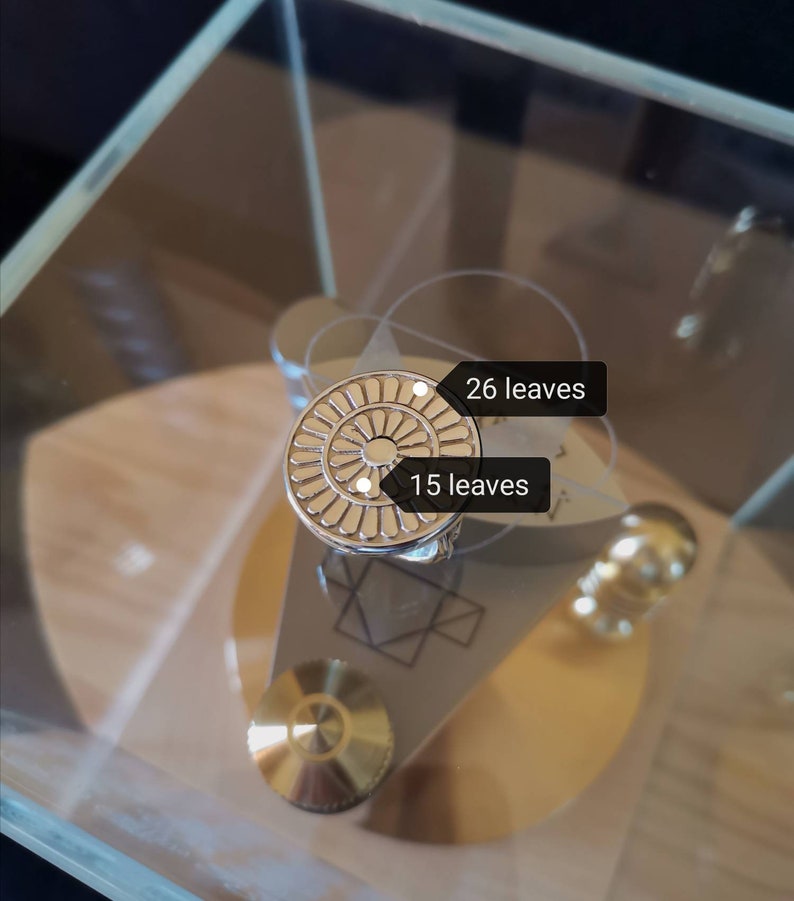 Op de afbeelding: Een zilverkleurige metalen ring met een cirkelvormig ontwerp met een centrale cirkel omgeven door concentrische ringen van kleinere cirkels. De ring heeft 26 bladeren aan de buitenring en 15 bladeren aan de binnenring.