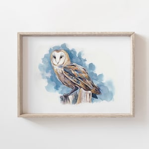 Schleiereule Wasserfarbe Abbildung - Vogel Aquarell Kunstdruck
