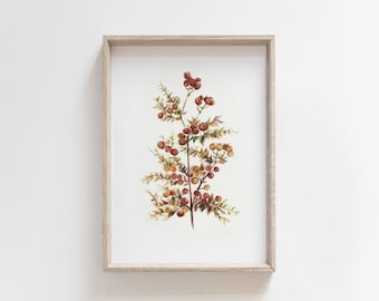 Watercolor Berries Art Print - Botanical Illustration - Nature inspired decor