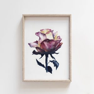 Arte della rosa dell'acquerello, stampa artistica del fiore, illustrazione botanica
