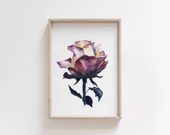 Watercolor Rose art,  Flower Art Print, Botanical Illustration