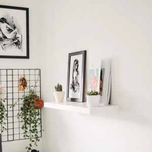 May include: A white shelf with a black framed print, a black and white framed print, and two magazines. There are two potted plants on the shelf, one with a cactus and one with a succulent. The shelf is mounted on a white wall.