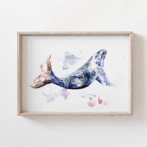 Blauwal Aquarell Zeichnung. Farbig gedruckt Abbildung.