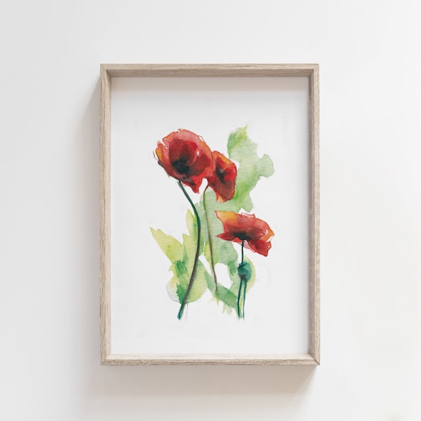Lámina de amapolas en acuarela - Ilustración botánica - Pintura de flores rojas