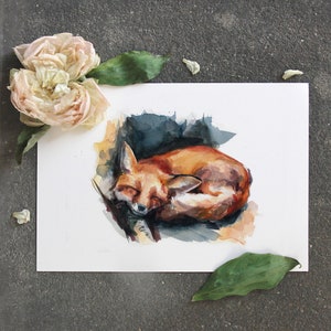 May include: Watercolor painting of a red fox curled up sleeping. The fox is painted in shades of orange, brown, and white. The background is a soft blue and gray.