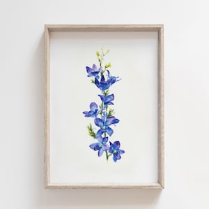 Blue Flowers Botanical Illustration - Watercolor Wall Art Print