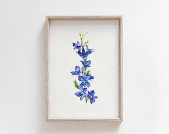 Blue Flowers Botanical Illustration - Watercolor Wall Art Print