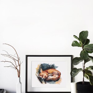 May include: A watercolor painting of a curled up fox sleeping. The painting is framed in black and displayed on a white wall with a white vase and a potted plant.