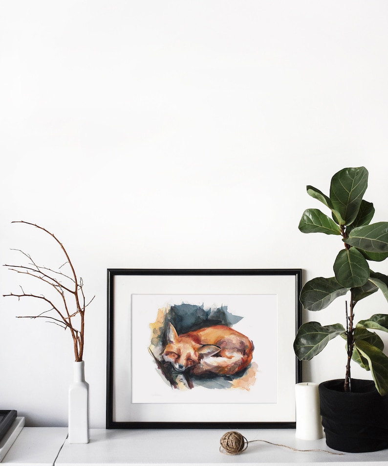 May include: A watercolor painting of a curled up fox sleeping. The painting is framed in black and displayed on a white wall with a white vase and a potted plant.