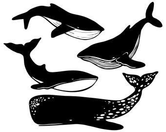 Download Whale svg | Etsy