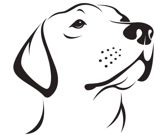 Download Labrador Retriever Head | Etsy