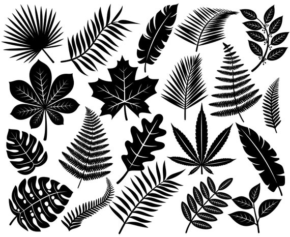 Download Leaves Leaf Fern Greenery Maple | Etsy