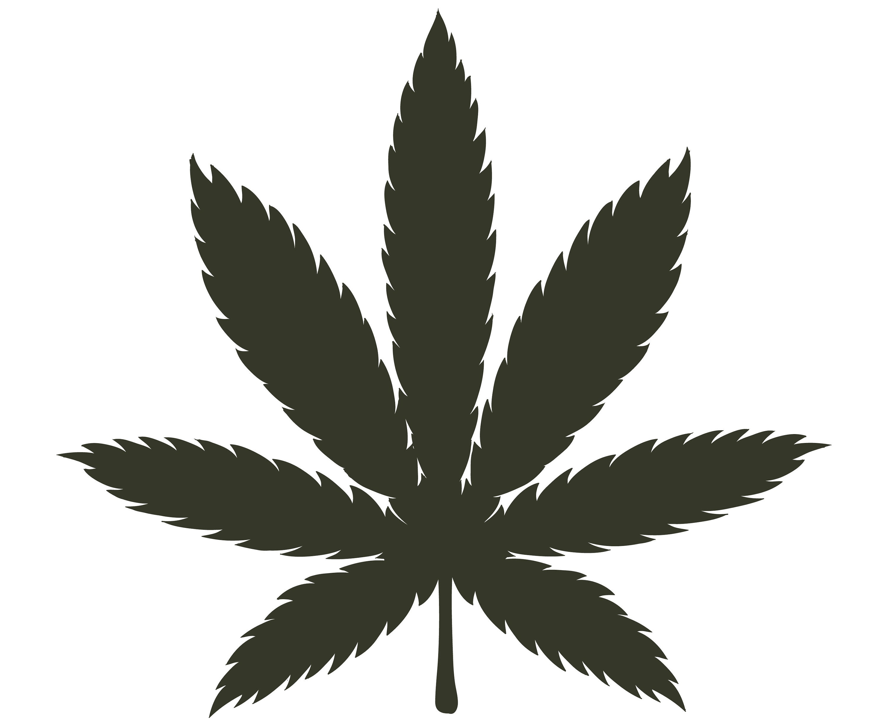 Download Marijuana SVG Marijuana leaf SVG Medical marijuana svg | Etsy
