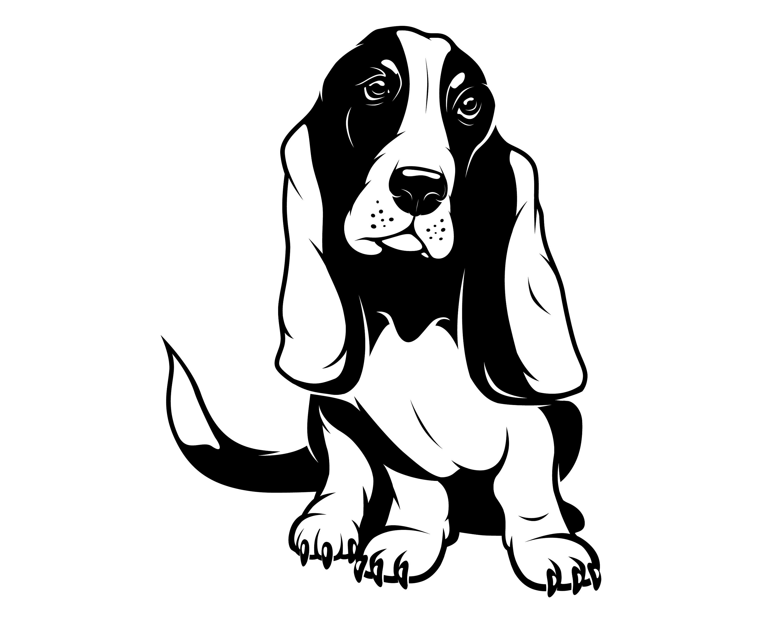 Basset Hound | Etsy