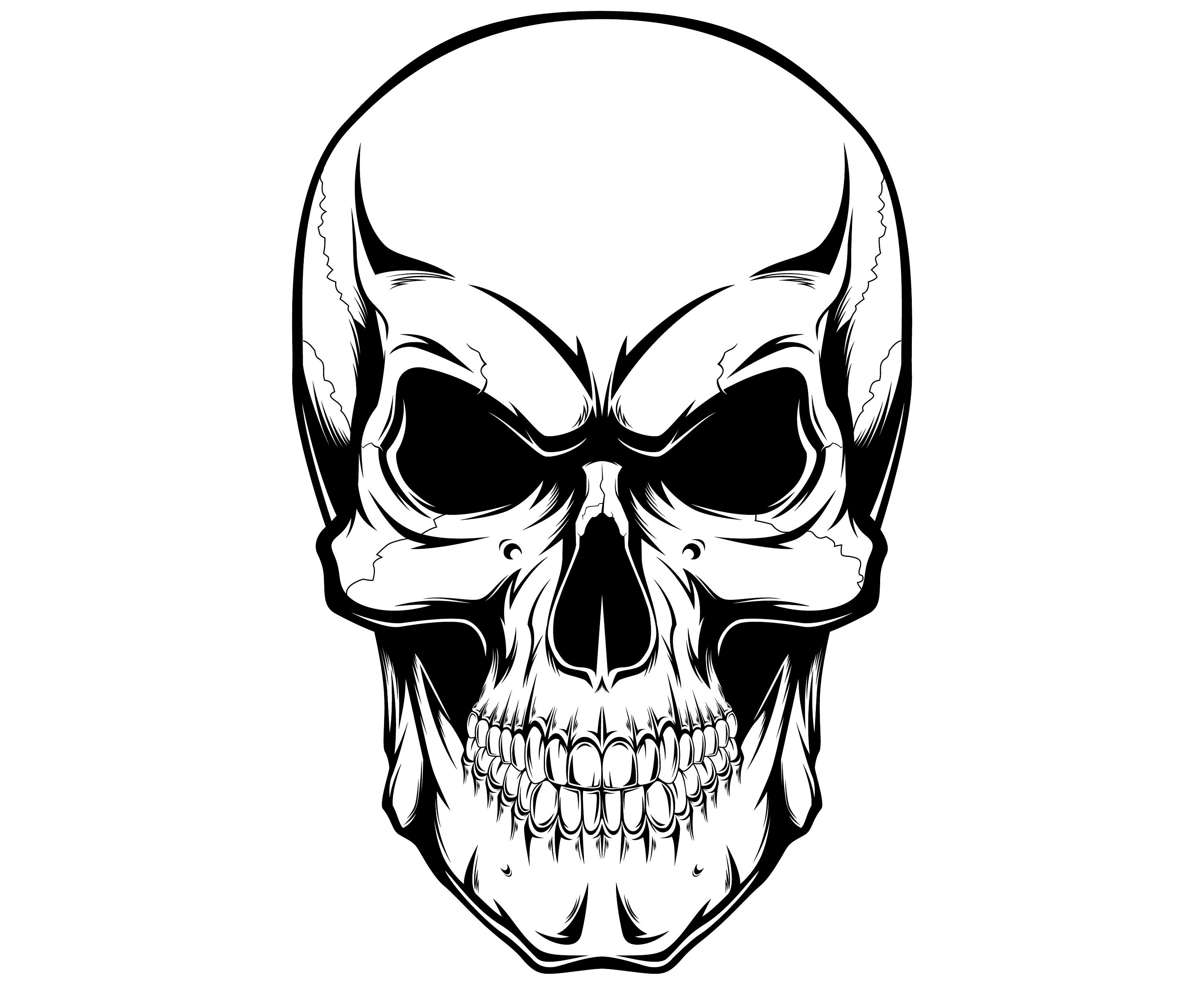 Download Skull Human | Etsy