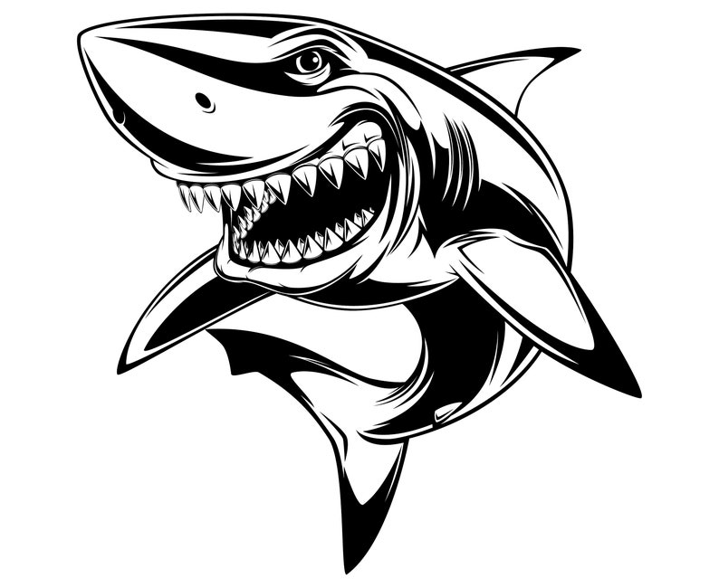 Download Shark Cartoon White shark | Etsy