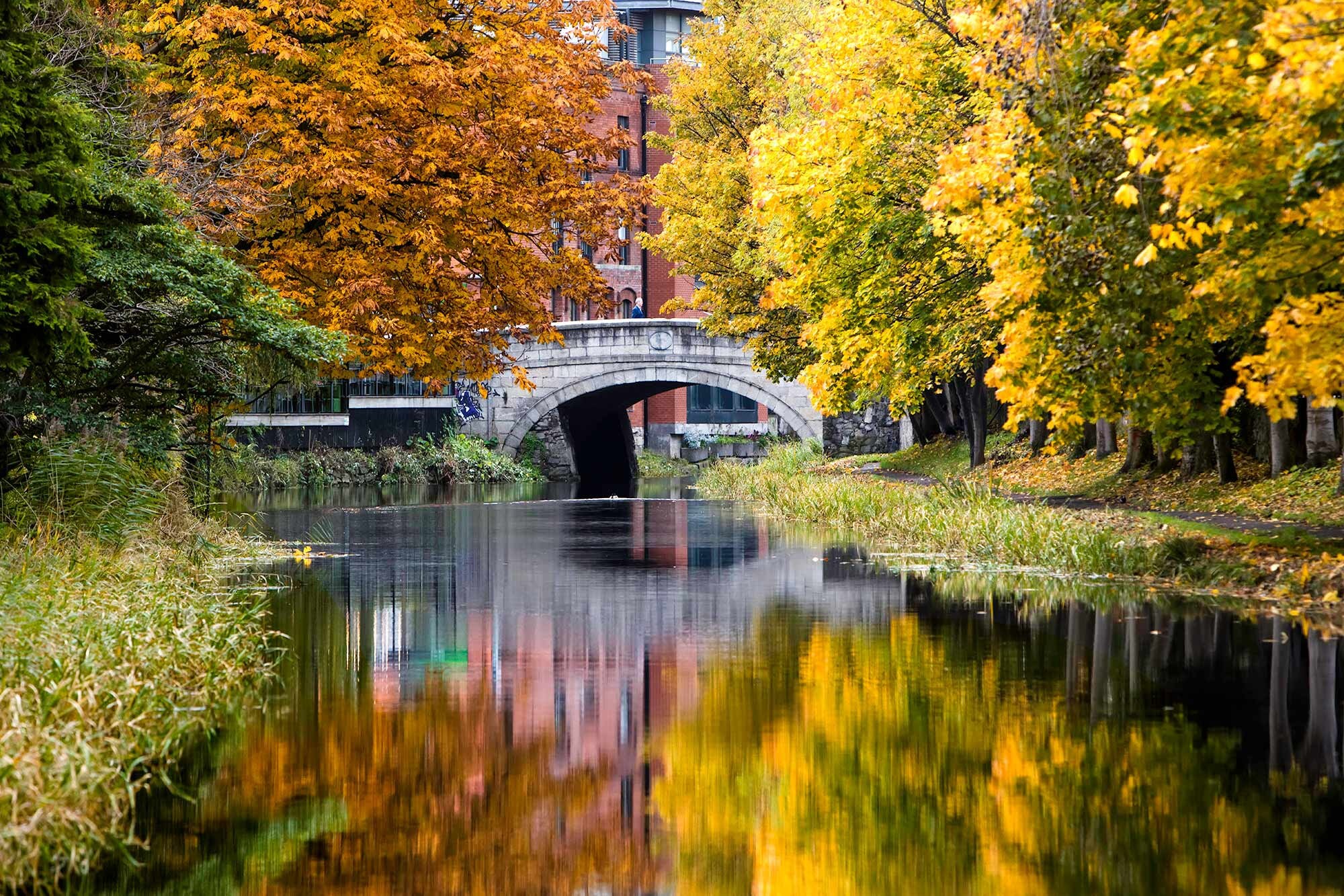 Autumn in Dublin Autumn Colors Dublin Print Ireland Etsy