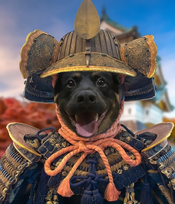 samurai dog costume