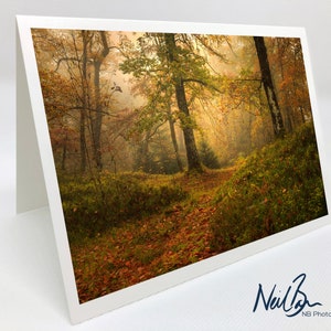 Trossachs Autumnal Woods - Ecosse Carte de voeux du photographe paysagiste écossais Neil Barr - Intérieur vierge