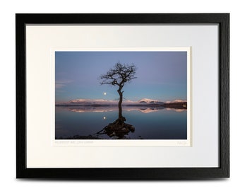 LOCH LOMOND TREE, Scotland Lonely Tree Photography Card, Millarochy Bay Photograph, Blank - View #7