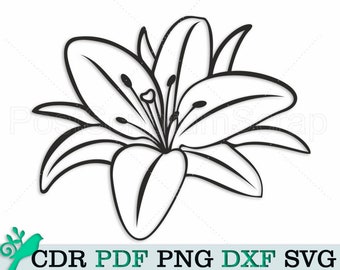 Download Stargazer Lily Svg Etsy