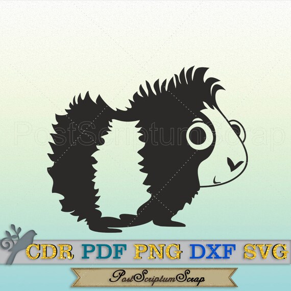 Download Guinea Pig Clip Art T Shirt Svg Animal Etsy