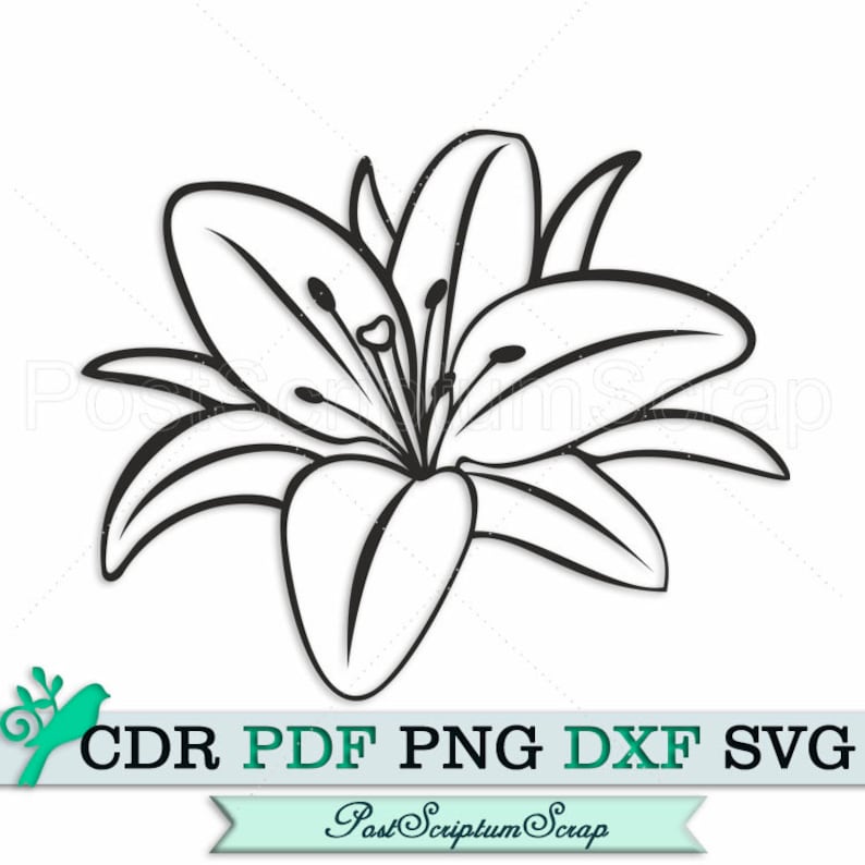 Lily svg flower clipart files for cricut silhouette botanical Etsy