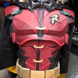 Robin inspired costume