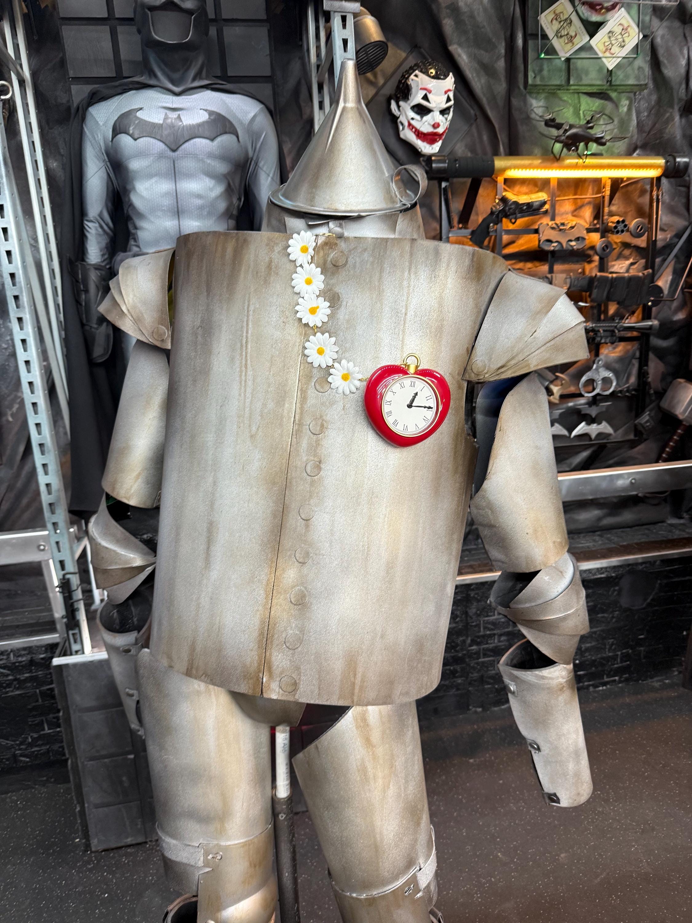 Op blikken man geïnspireerd kostuum geïnspireerd door WIzard OF OZ - Etsy  België, image size:2250x3000