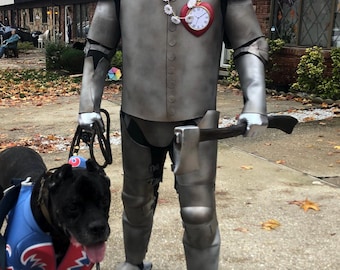 Tin Man INspired Costume Inspired BY WIzard OF OZ