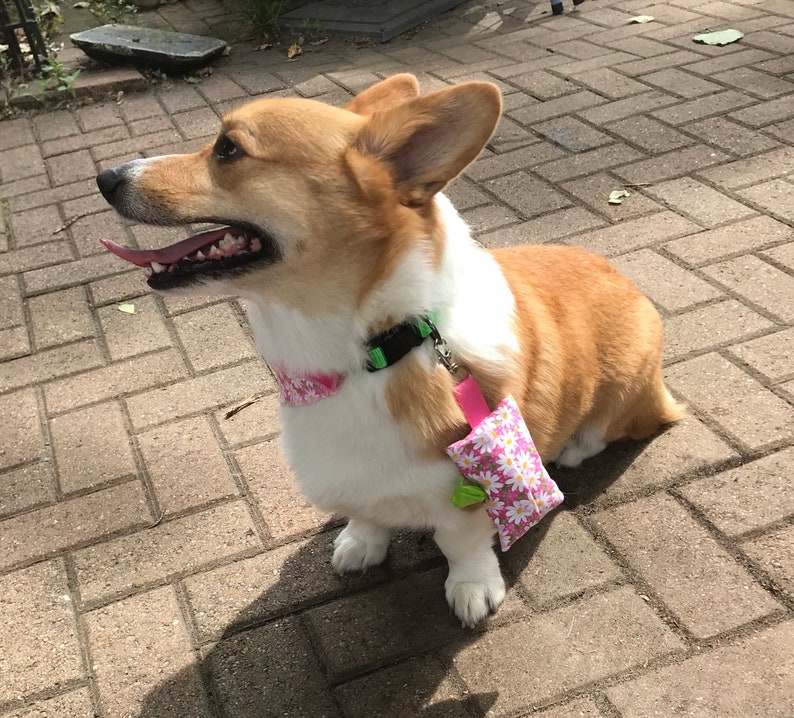 Poop Bag Holder for Leash Ladybug Poop Bag Holder Poop Bag Holder Waste Bag Dispenser Poop Bag Dispenser