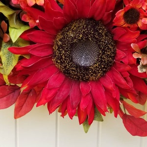 May include: A red sunflower with a dark brown center and yellow pollen. The sunflower is surrounded by green leaves and other red flowers.